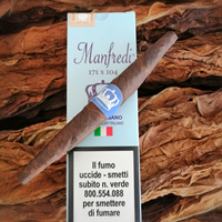 manfredi 171 da 3.png